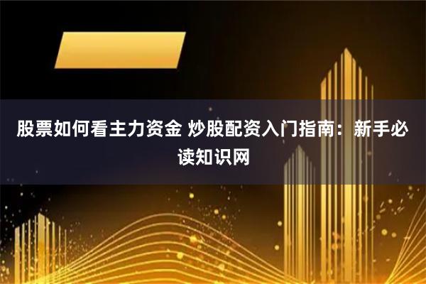 股票如何看主力资金 炒股配资入门指南：新手必读知识网