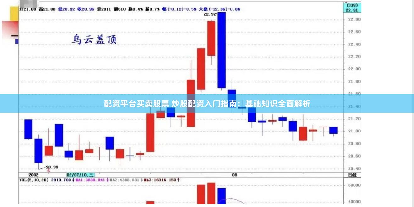 配资平台买卖股票 炒股配资入门指南：基础知识全面解析