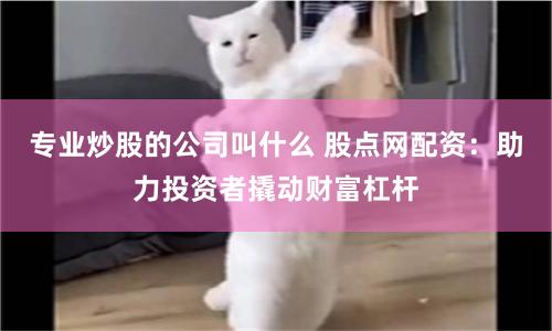 专业炒股的公司叫什么 股点网配资：助力投资者撬动财富杠杆